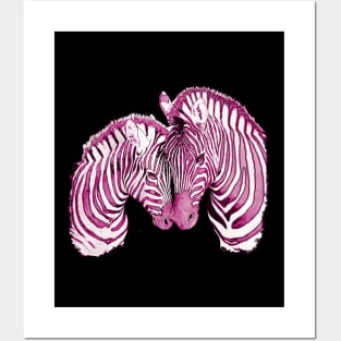 Zebra Lovers 5 Posters and Art